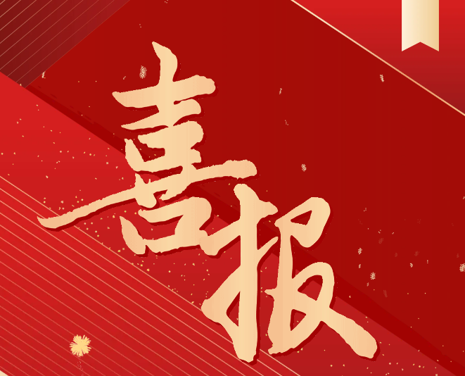 喜報！我院師生在2024一帶一路暨金磚國家技能發(fā)展與技術(shù)創(chuàng)新大賽中榮獲佳績