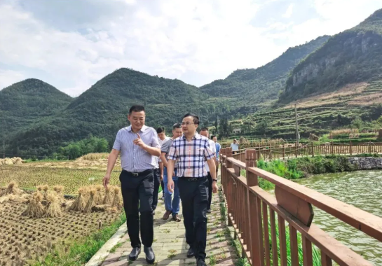 畢節(jié)工業(yè)職業(yè)技術(shù)學院黨委書記李涌、院長邱國援率隊到鄉(xiāng)村振興駐村聯(lián)系工作點調(diào)研