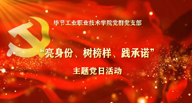 畢節(jié)工業(yè)職業(yè)技術(shù)學院黨群黨支部主題黨日活動